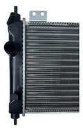 Radiador Agua Chevy Con Aire Std 1994 1995 1996 1997 1998 99